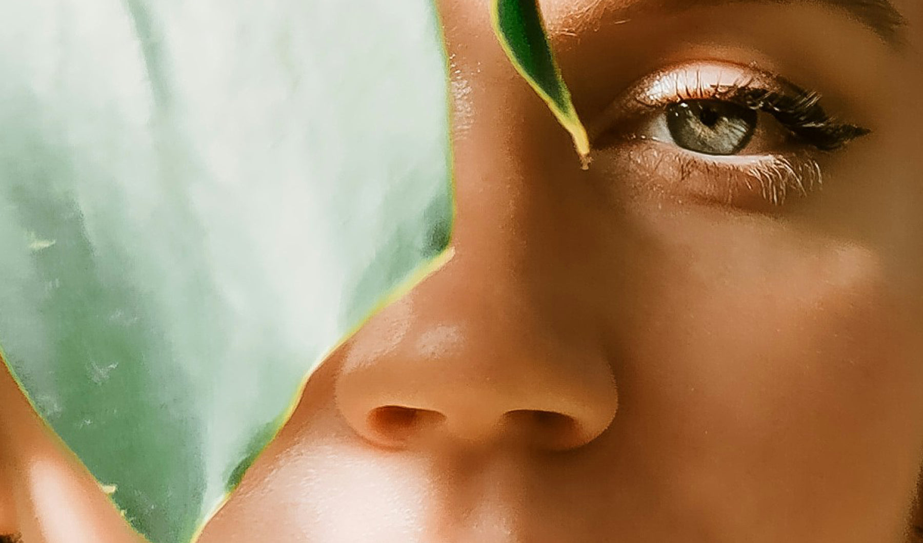 Jane Iredale’s Cosmetic Predictions