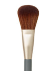 Powder Complexion Brush