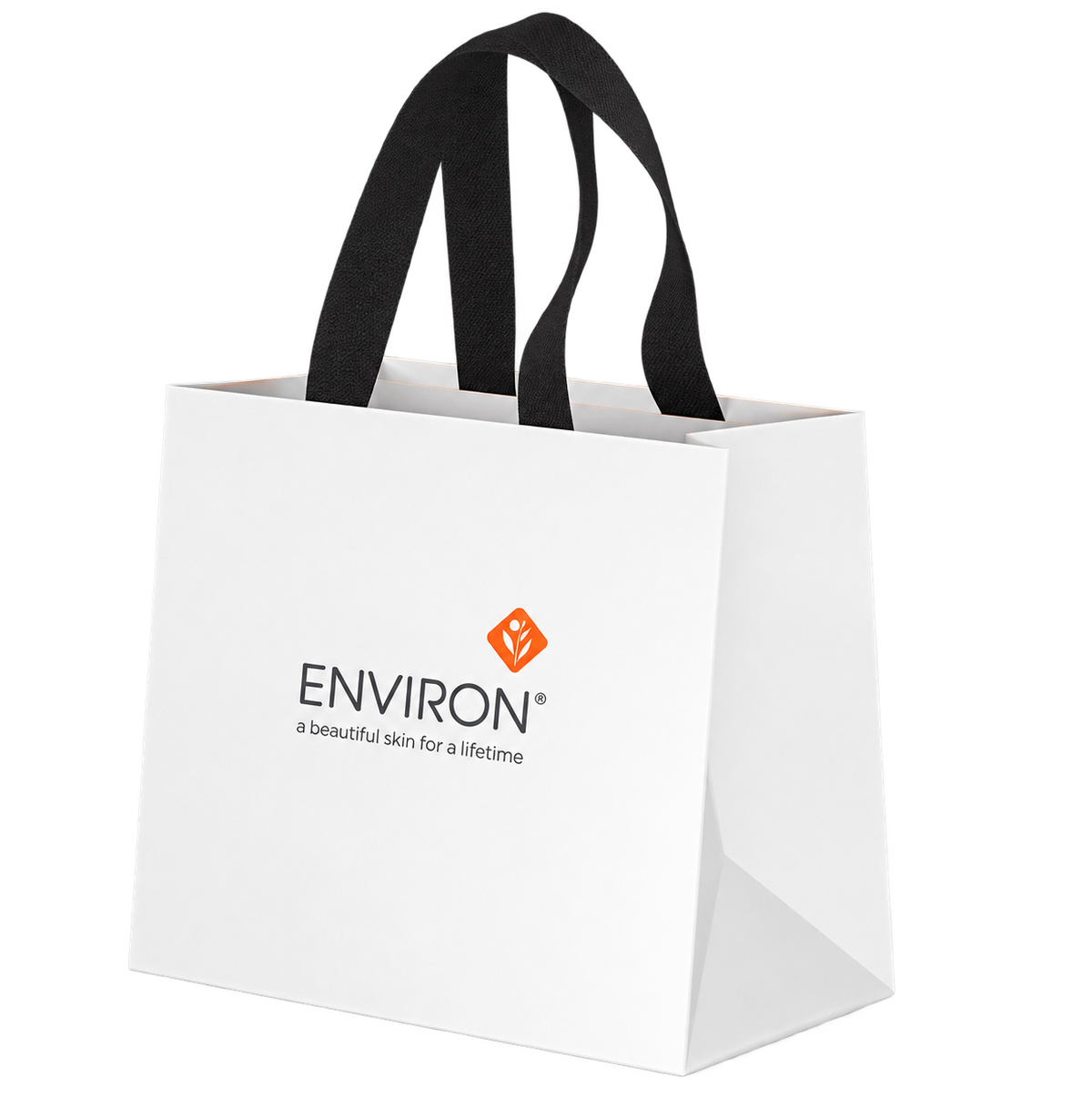 Environ Promotion Bag